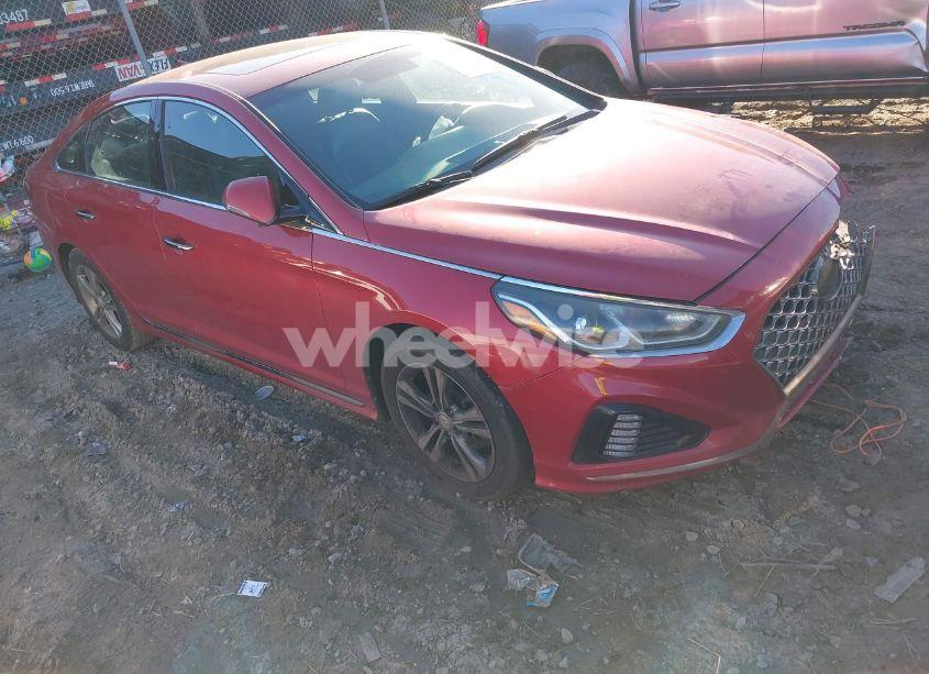 2019 Hyundai Sonata SPORT (VIN 5NPE34AFXKH736229) main photo