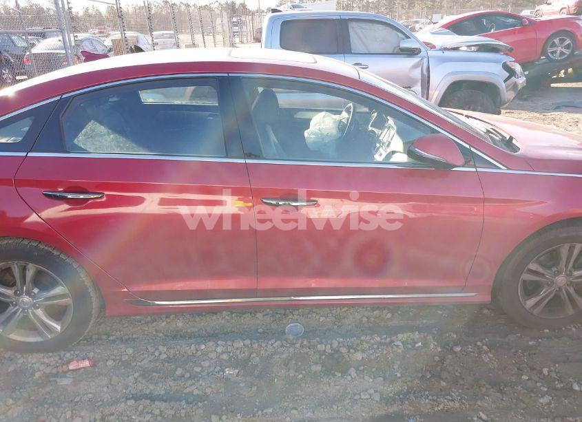 Photo 13 of 2019 Hyundai Sonata SPORT (VIN 5NPE34AFXKH736229)