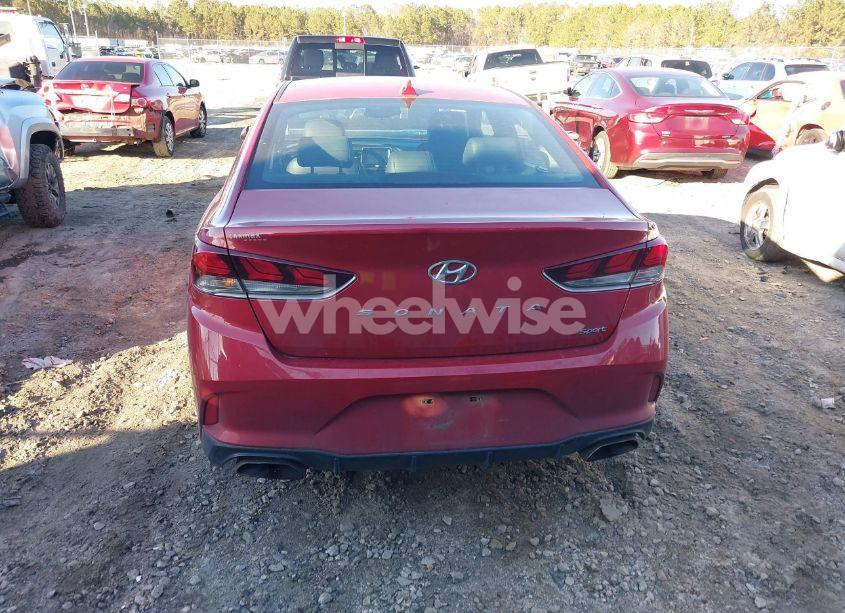 Photo 16 of 2019 Hyundai Sonata SPORT (VIN 5NPE34AFXKH736229)