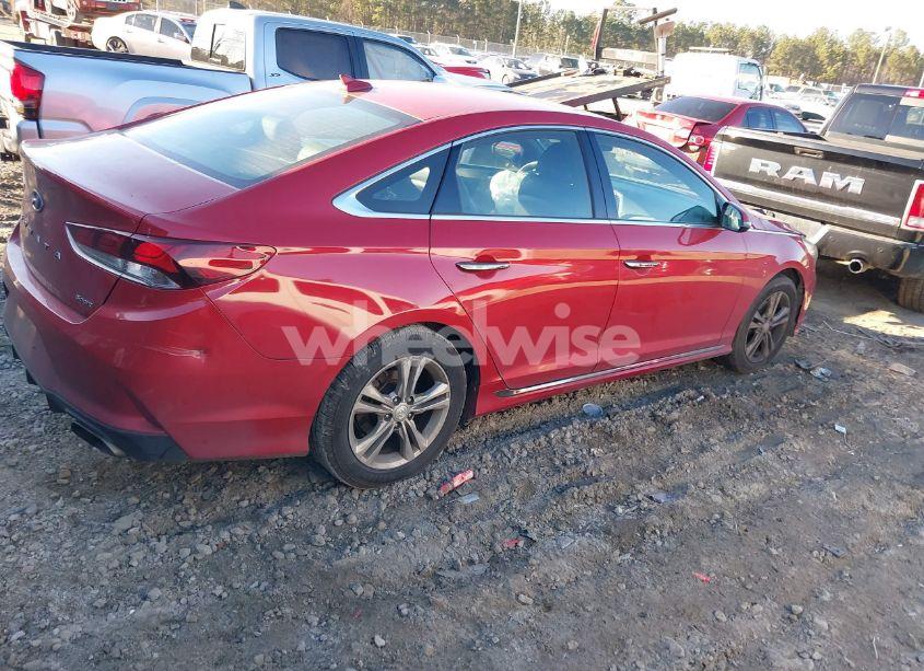 Photo 4 of 2019 Hyundai Sonata SPORT (VIN 5NPE34AFXKH736229)