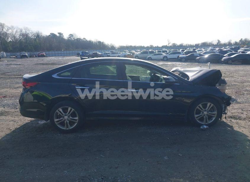 Photo 12 of 2019 Hyundai Sonata SEL (VIN 5NPE34AFXKH761180)