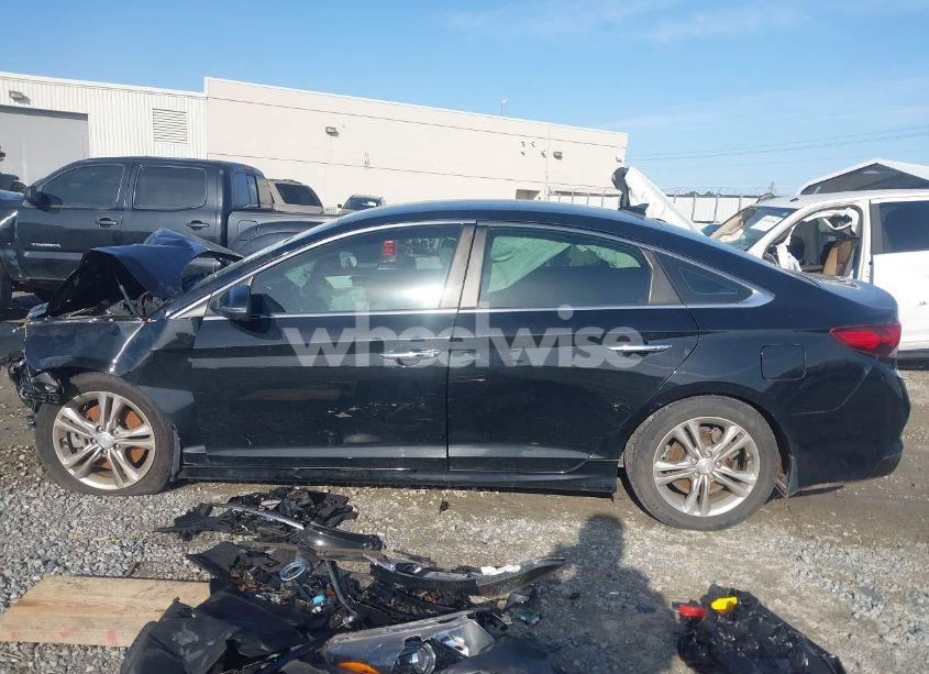 Photo 13 of 2019 Hyundai Sonata SEL (VIN 5NPE34AFXKH761180)