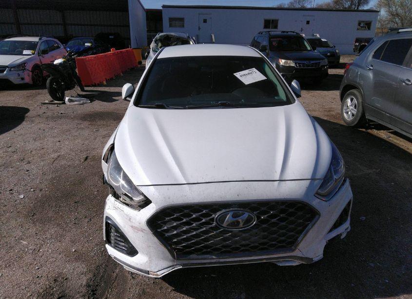 Photo 13 of 2019 Hyundai Sonata SEL (VIN 5NPE34AFXKH762152)