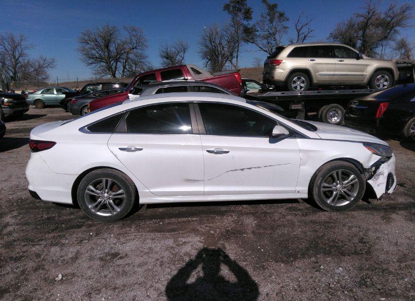 Photo 14 of 2019 Hyundai Sonata SEL (VIN 5NPE34AFXKH762152)