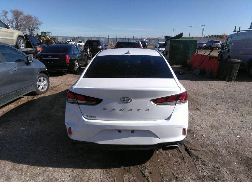 Photo 17 of 2019 Hyundai Sonata SEL (VIN 5NPE34AFXKH762152)