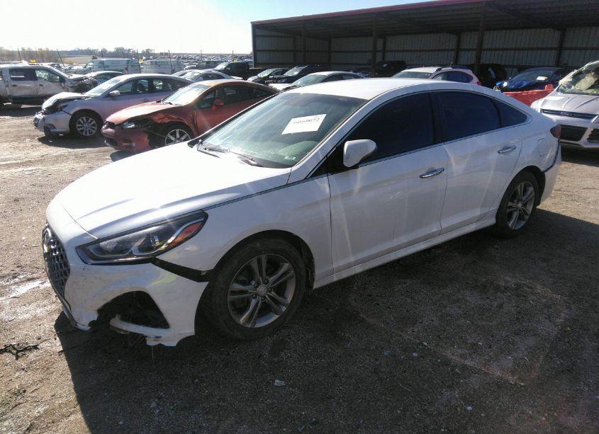 Photo 2 of 2019 Hyundai Sonata SEL (VIN 5NPE34AFXKH762152)