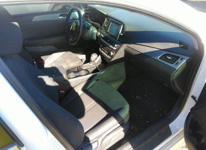 Photo 5 of 2019 Hyundai Sonata SEL (VIN 5NPE34AFXKH762152)