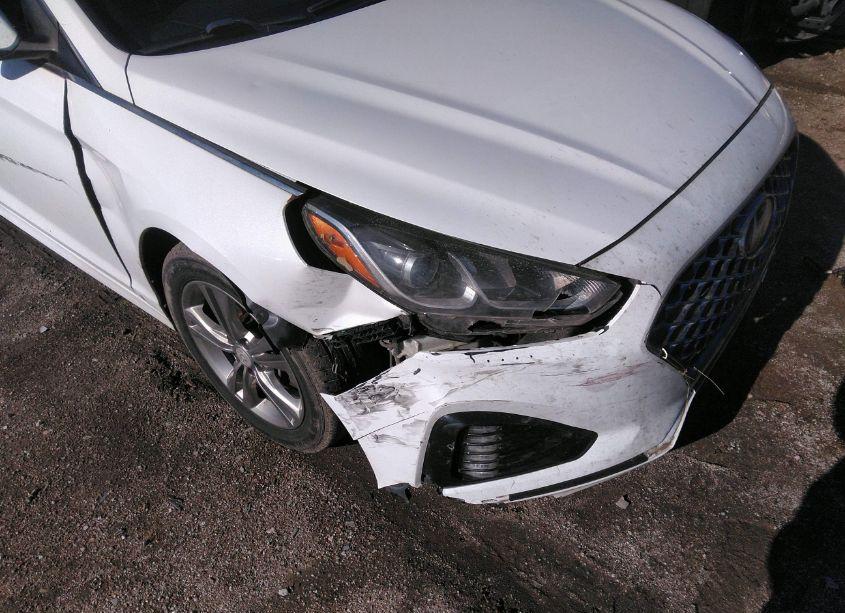 Photo 6 of 2019 Hyundai Sonata SEL (VIN 5NPE34AFXKH762152)