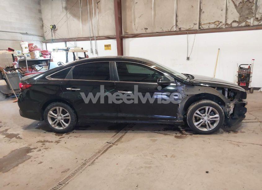 Photo 14 of 2019 Hyundai Sonata SEL (VIN 5NPE34AFXKH772163)