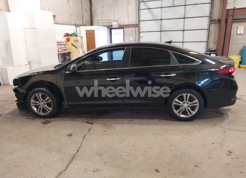 Photo 15 of 2019 Hyundai Sonata SEL (VIN 5NPE34AFXKH772163)