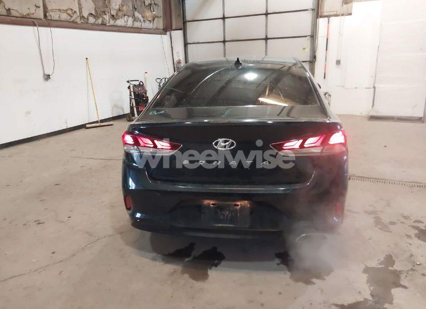 Photo 17 of 2019 Hyundai Sonata SEL (VIN 5NPE34AFXKH772163)