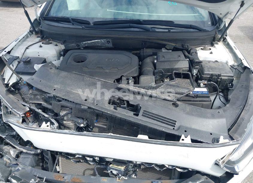 Photo 10 of 2019 Hyundai Sonata SPORT (VIN 5NPE34AFXKH772292)