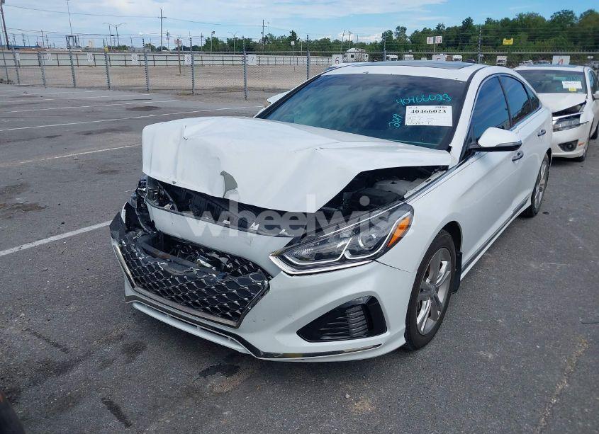 Photo 12 of 2019 Hyundai Sonata SPORT (VIN 5NPE34AFXKH772292)