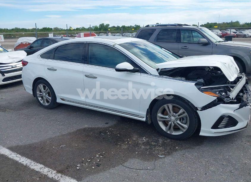 Photo 13 of 2019 Hyundai Sonata SPORT (VIN 5NPE34AFXKH772292)