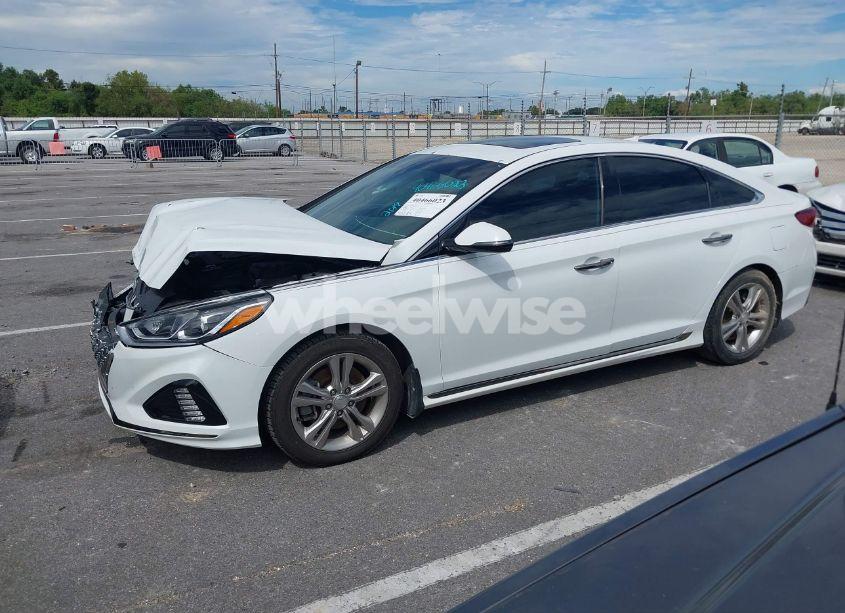 Photo 14 of 2019 Hyundai Sonata SPORT (VIN 5NPE34AFXKH772292)