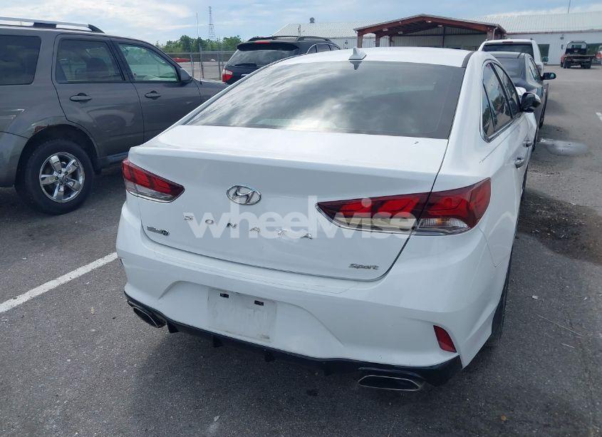 Photo 16 of 2019 Hyundai Sonata SPORT (VIN 5NPE34AFXKH772292)
