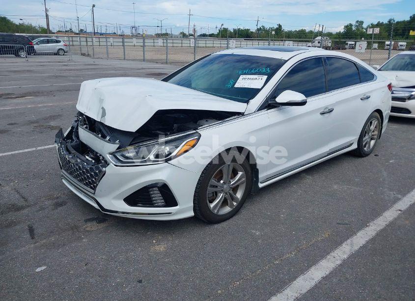 Photo 2 of 2019 Hyundai Sonata SPORT (VIN 5NPE34AFXKH772292)