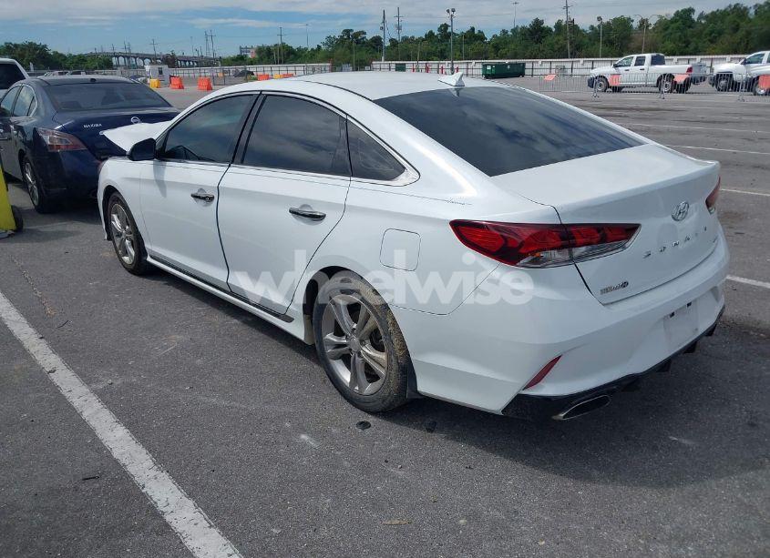 Photo 3 of 2019 Hyundai Sonata SPORT (VIN 5NPE34AFXKH772292)