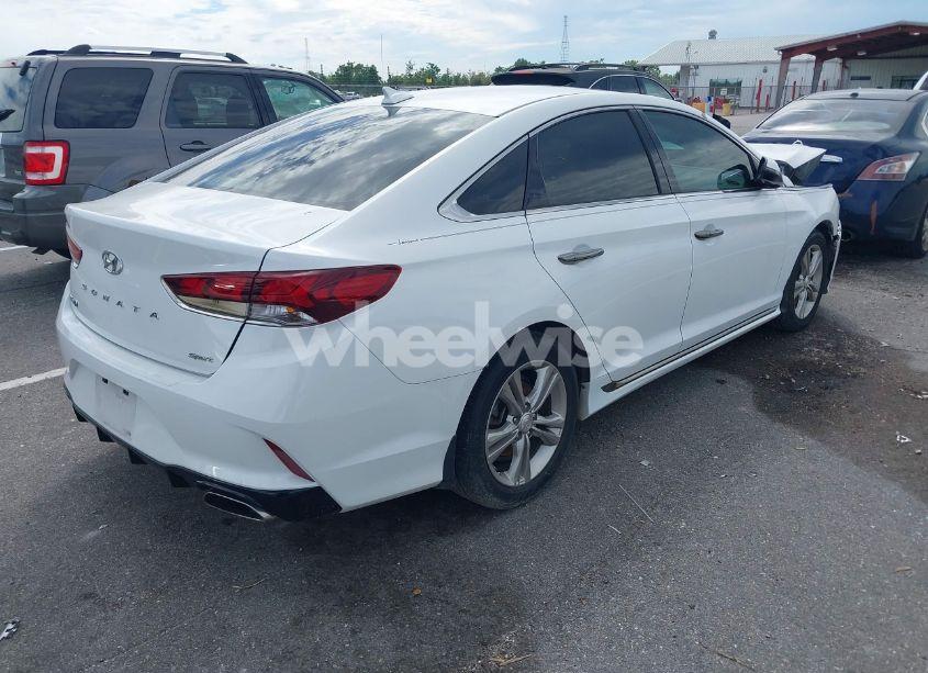 Photo 4 of 2019 Hyundai Sonata SPORT (VIN 5NPE34AFXKH772292)