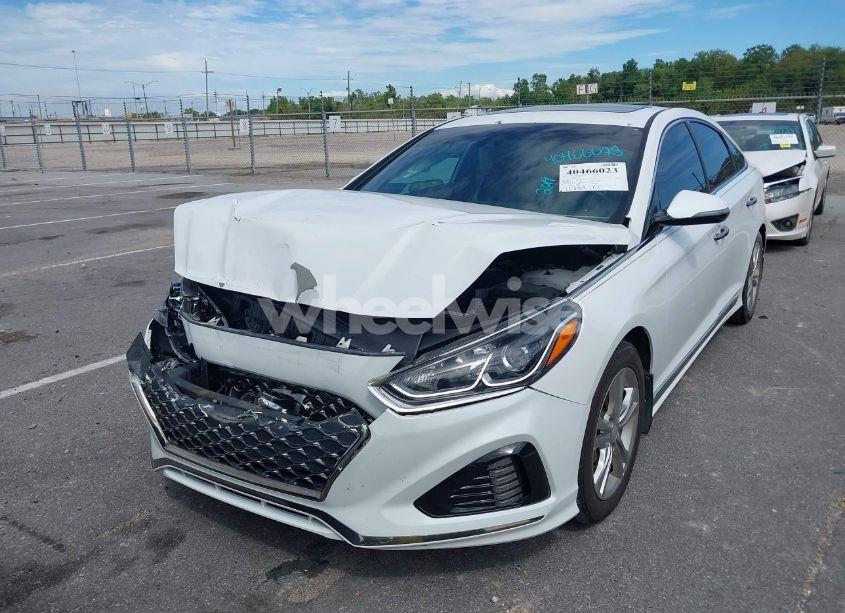 Photo 6 of 2019 Hyundai Sonata SPORT (VIN 5NPE34AFXKH772292)