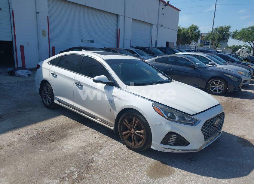 2019 Hyundai Sonata SPORT (VIN 5NPE34AFXKH774141) main photo