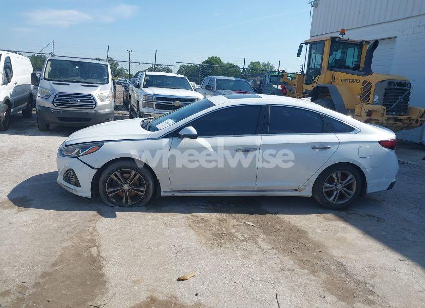Photo 15 of 2019 Hyundai Sonata SPORT (VIN 5NPE34AFXKH774141)