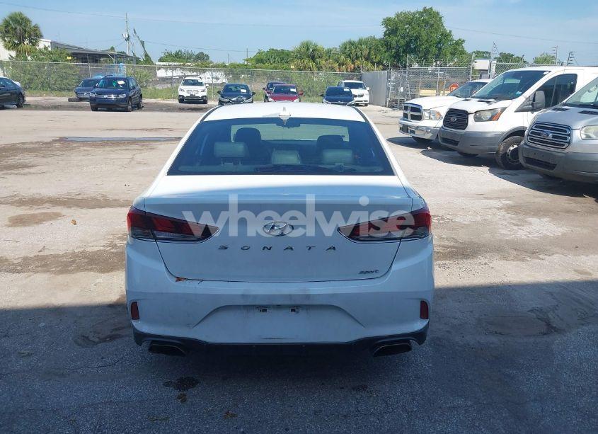 Photo 17 of 2019 Hyundai Sonata SPORT (VIN 5NPE34AFXKH774141)