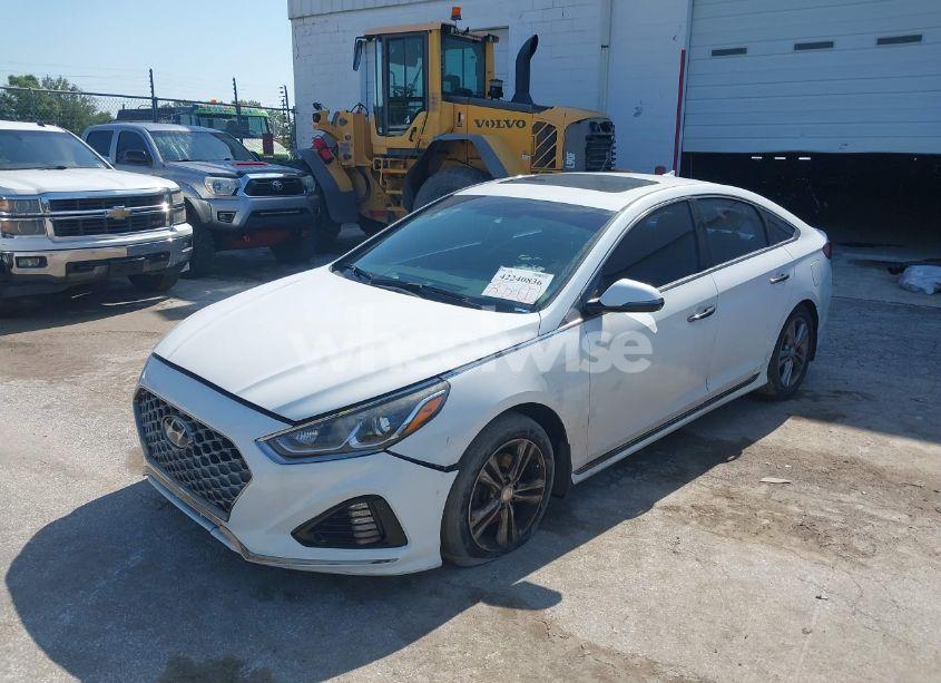 Photo 2 of 2019 Hyundai Sonata SPORT (VIN 5NPE34AFXKH774141)