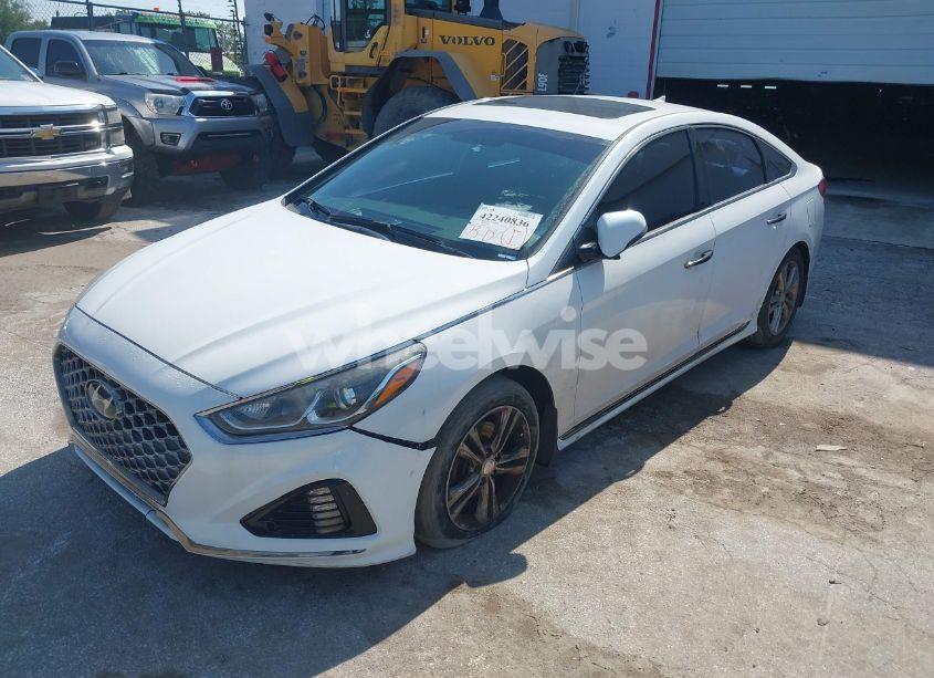 Photo 6 of 2019 Hyundai Sonata SPORT (VIN 5NPE34AFXKH774141)