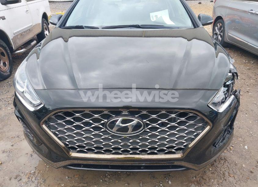 Photo 12 of 2019 Hyundai Sonata SEL (VIN 5NPE34AFXKH790436)