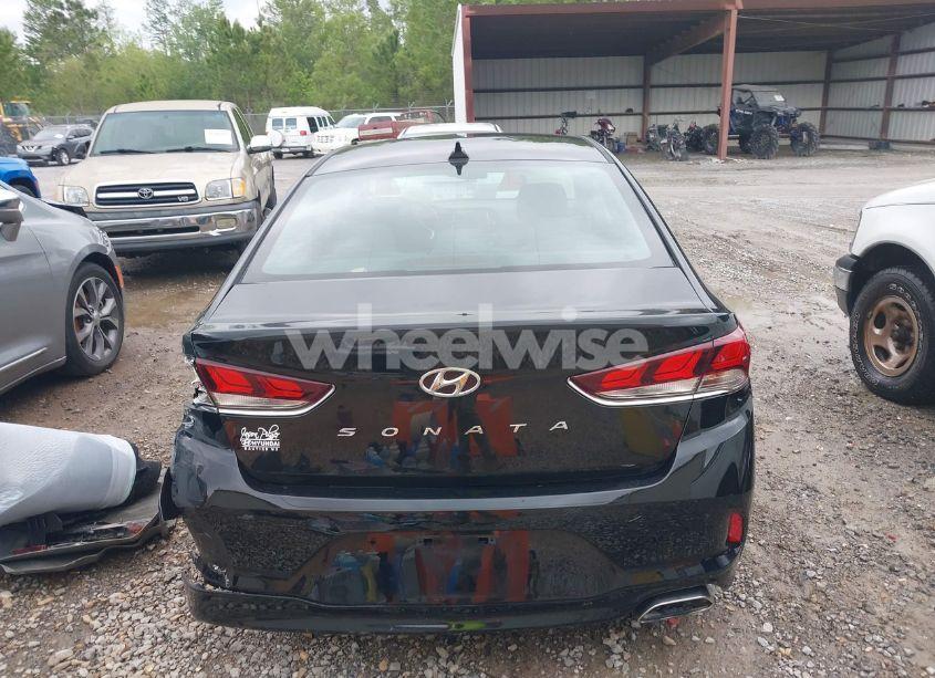 Photo 16 of 2019 Hyundai Sonata SEL (VIN 5NPE34AFXKH790436)