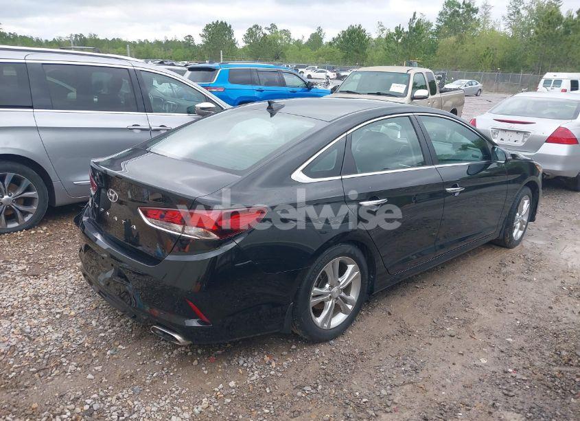 Photo 4 of 2019 Hyundai Sonata SEL (VIN 5NPE34AFXKH790436)