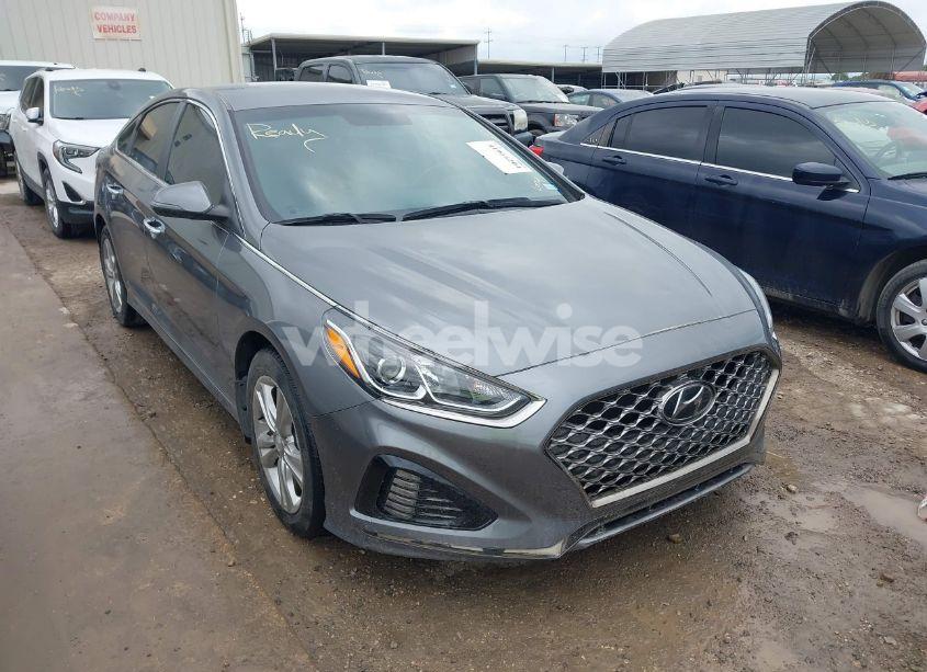 2019 Hyundai Sonata SEL (VIN 5NPE34AFXKH793255) main photo