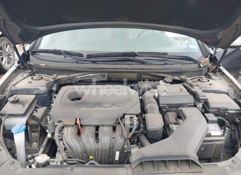 Photo 10 of 2019 Hyundai Sonata SEL (VIN 5NPE34AFXKH793255)