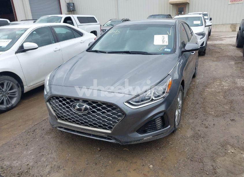 Photo 12 of 2019 Hyundai Sonata SEL (VIN 5NPE34AFXKH793255)