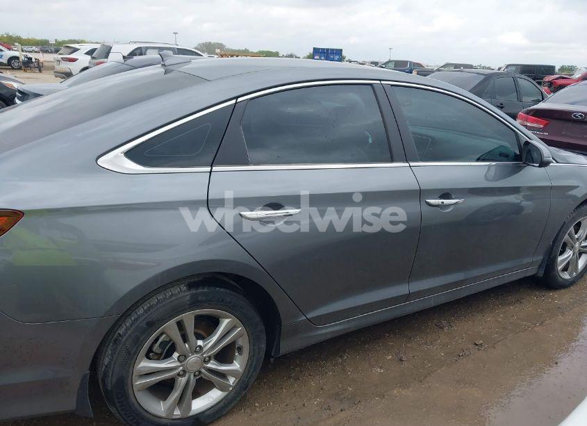 Photo 13 of 2019 Hyundai Sonata SEL (VIN 5NPE34AFXKH793255)