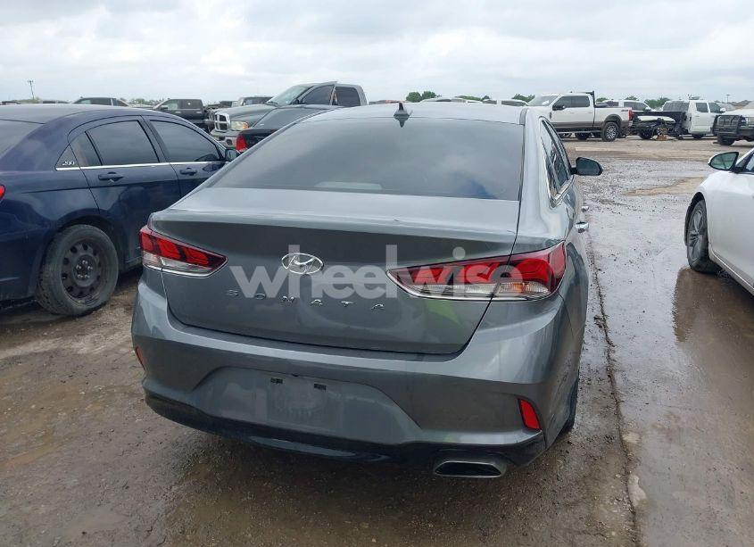 Photo 16 of 2019 Hyundai Sonata SEL (VIN 5NPE34AFXKH793255)