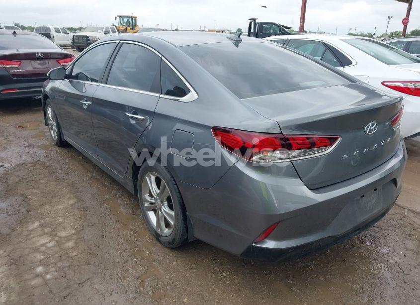 Photo 3 of 2019 Hyundai Sonata SEL (VIN 5NPE34AFXKH793255)