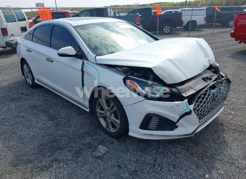 2019 Hyundai Sonata SPORT (VIN 5NPE34AFXKH803038) main photo