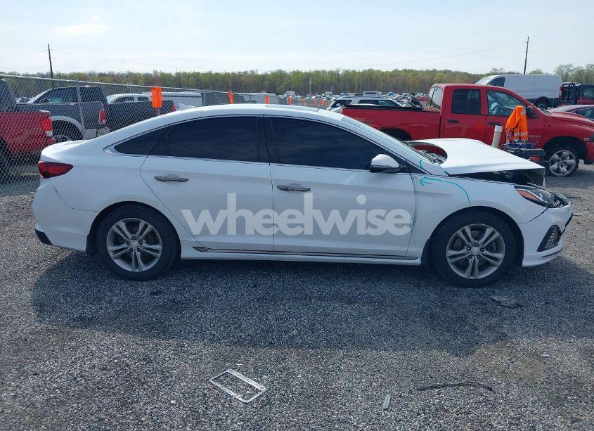 Photo 13 of 2019 Hyundai Sonata SPORT (VIN 5NPE34AFXKH803038)