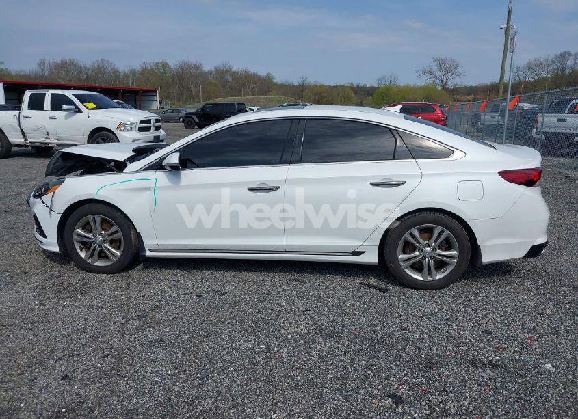 Photo 14 of 2019 Hyundai Sonata SPORT (VIN 5NPE34AFXKH803038)