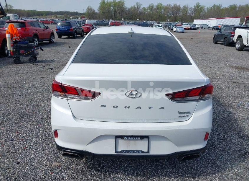 Photo 16 of 2019 Hyundai Sonata SPORT (VIN 5NPE34AFXKH803038)