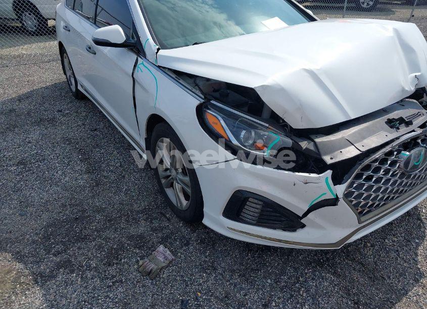 Photo 18 of 2019 Hyundai Sonata SPORT (VIN 5NPE34AFXKH803038)