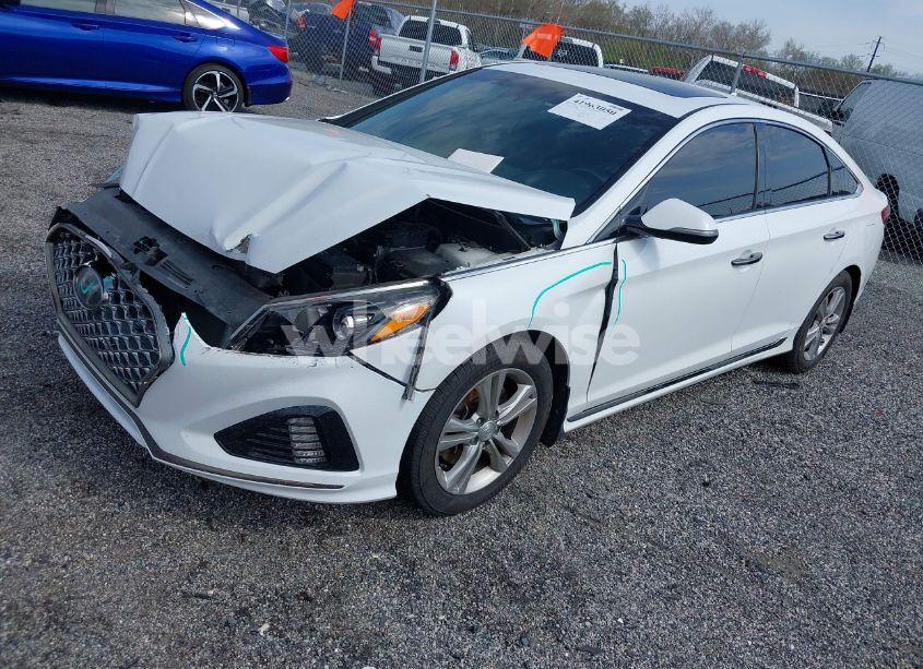 Photo 2 of 2019 Hyundai Sonata SPORT (VIN 5NPE34AFXKH803038)