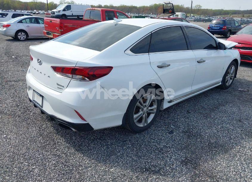 Photo 4 of 2019 Hyundai Sonata SPORT (VIN 5NPE34AFXKH803038)