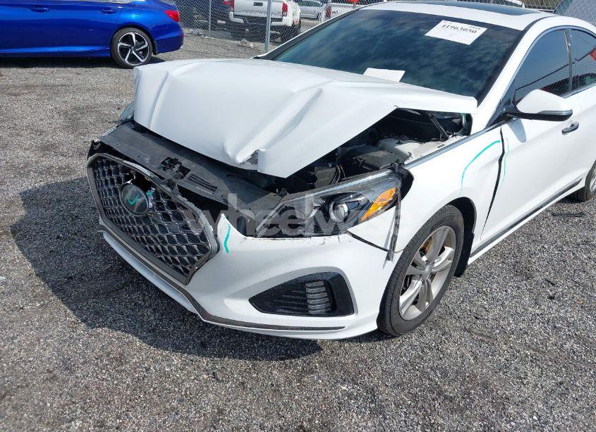 Photo 6 of 2019 Hyundai Sonata SPORT (VIN 5NPE34AFXKH803038)