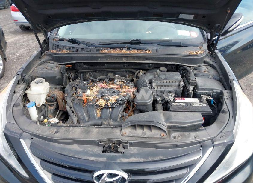 Photo 10 of 2014 Hyundai Sonata GLS (VIN 5NPEB4AC3EH831163)