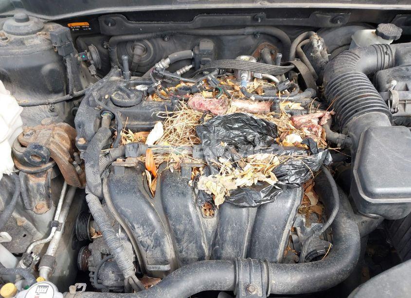 Photo 6 of 2014 Hyundai Sonata GLS (VIN 5NPEB4AC3EH831163)