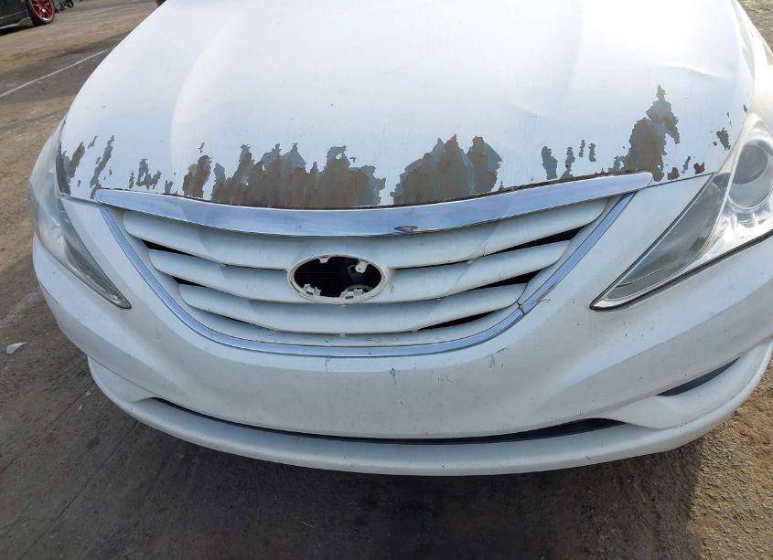 Photo 14 of 2011 Hyundai Sonata GLS (VIN 5NPEB4AC7BH109335)