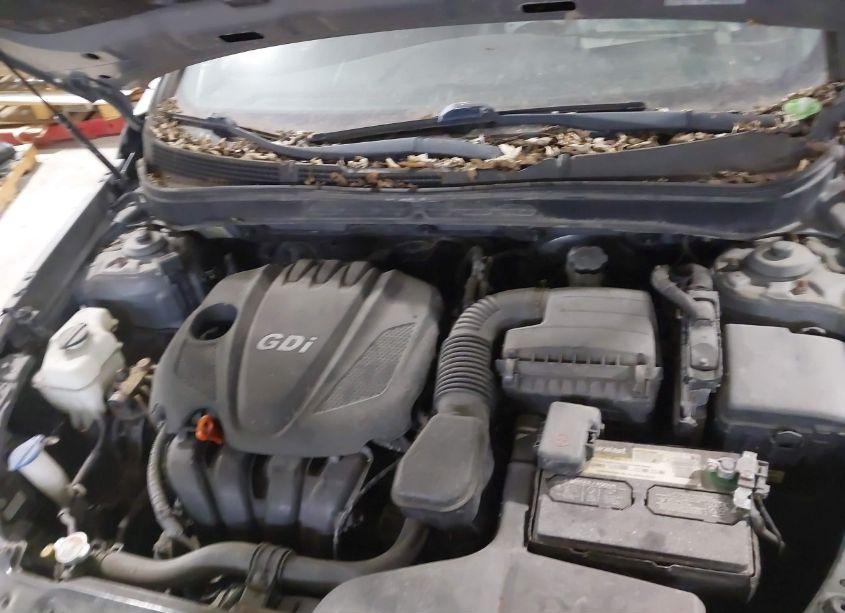 Photo 10 of 2013 Hyundai Sonata GLS (VIN 5NPEB4AC7DH772827)